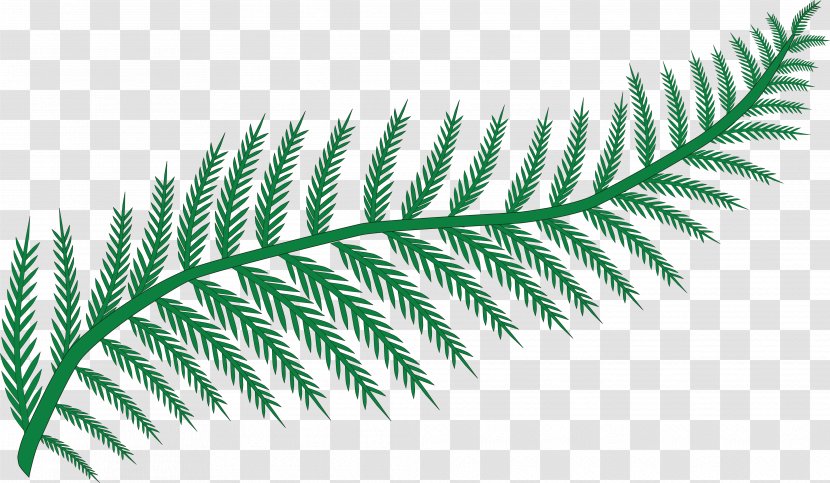 Fern Plant Frond Leaf Clip Art - Grass Transparent PNG