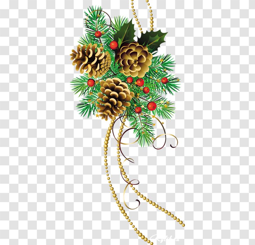 Christmas Tree Branch - Santa Claus - Eve Holiday Ornament Transparent PNG