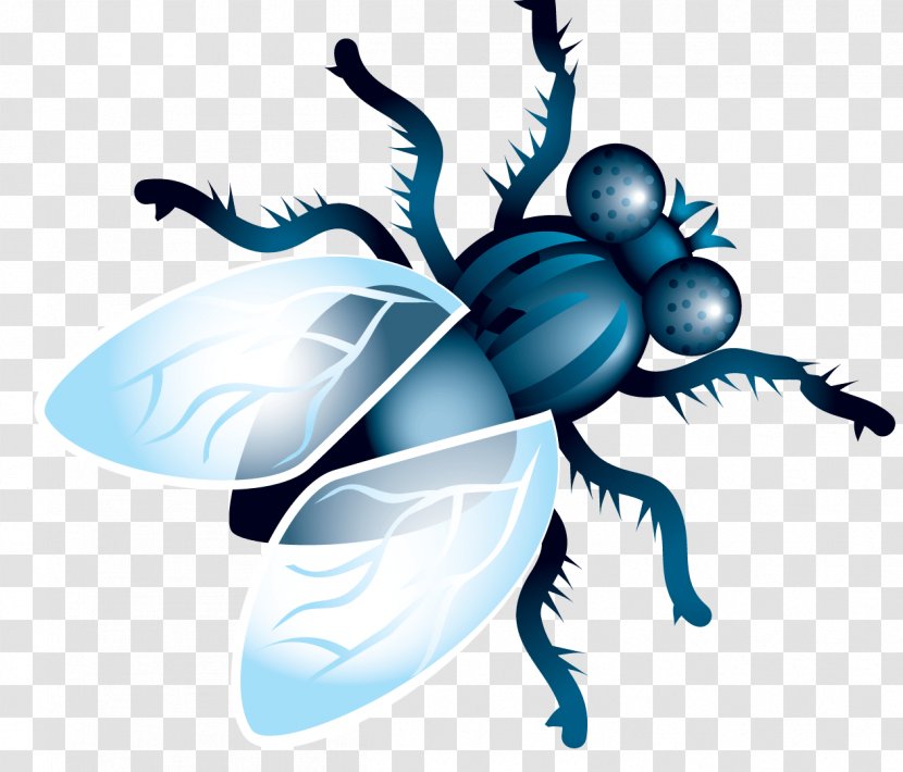 Clip Art Image Insect Desktop Wallpaper - Membrane Winged Transparent PNG