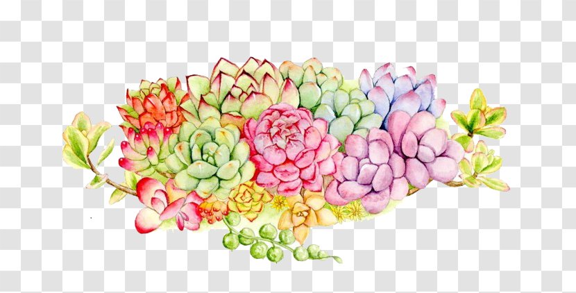 Succulent Plant Floral Design Watercolor Painting - Multi-colored Bouquet Meat Transparent PNG
