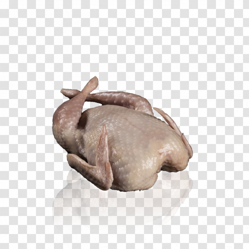 Common Quail Chicken Meat Pig - Silhouette Transparent PNG