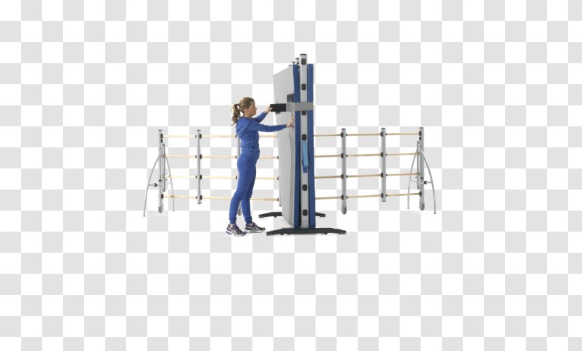 Sport Room Wall Bars Fitness Centre Climbing - Child - Classroom Transparent PNG