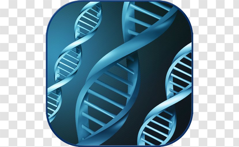 Mutation Genetic Testing Epigenetics - Wheel - Cancer Transparent PNG