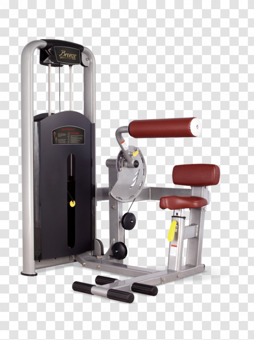 Exercise Machine Bodybuilding Abdomen Fitness Centre - Treadmill Transparent PNG