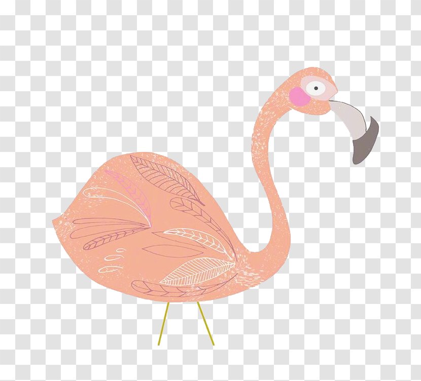Beak Flamingo - Vertebrate - Pink Swan Transparent PNG