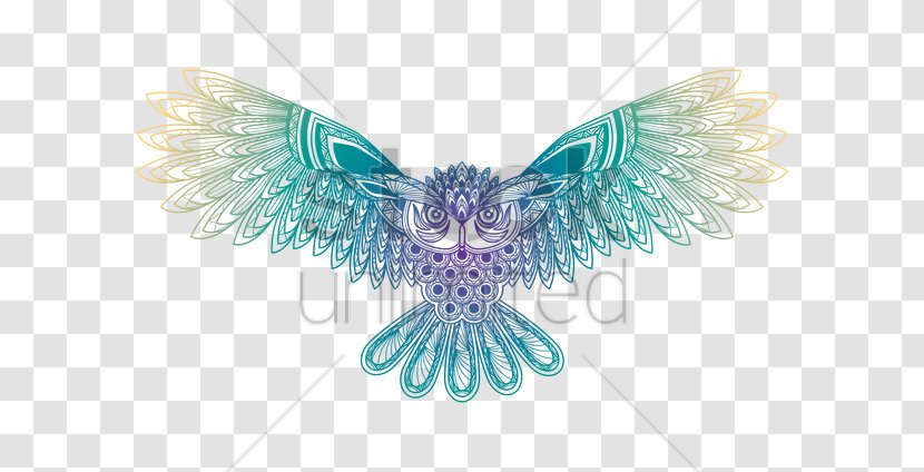 Owl Bird Vector Graphics Image Illustration - Beak Transparent PNG
