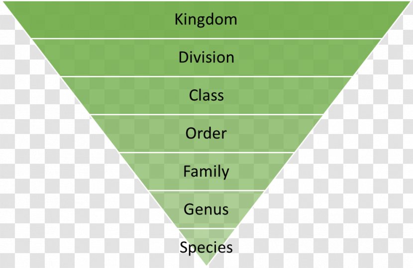 Recycling Reuse Waste Hierarchy Marketing - Municipal Solid - Garbage Classification Transparent PNG