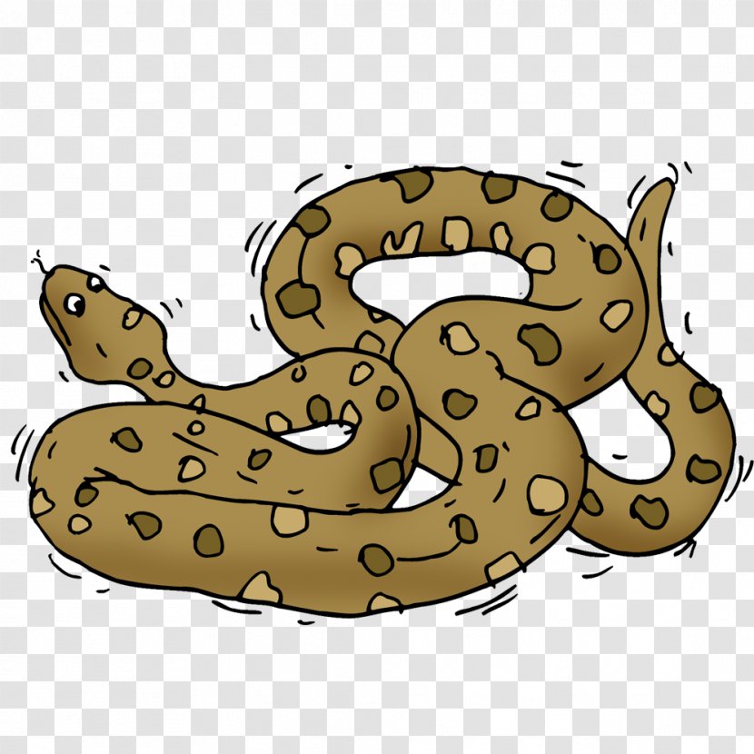 Snakes Clip Art Cartoon Image - Anaconda Transparency And Translucency Transparent PNG