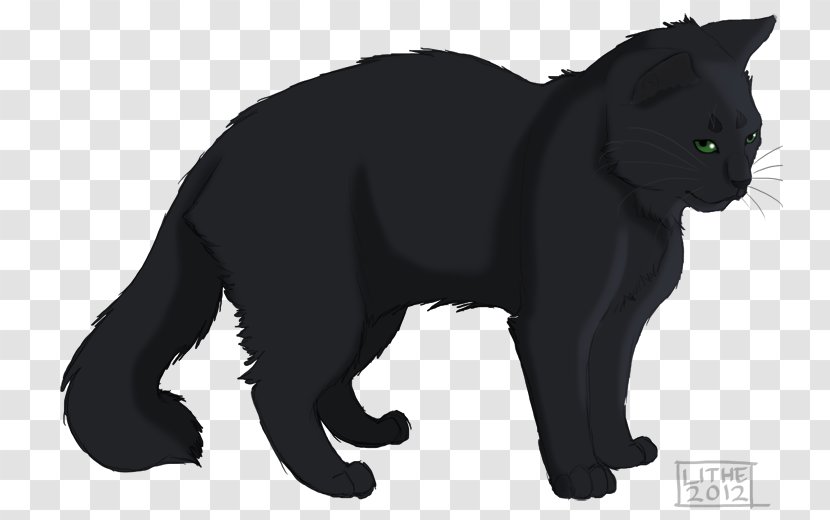 Warriors Hollyleaf's Story DeviantArt Erin Hunter - Black - Puma Transparent PNG