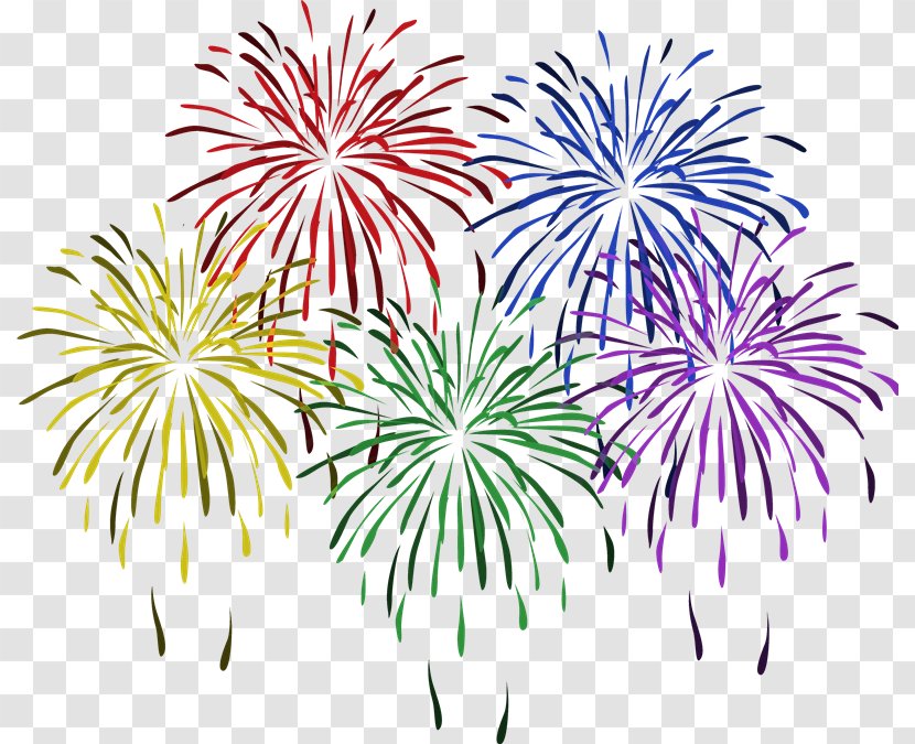 Fireworks New Year's Day Clip Art - Symmetry Transparent PNG