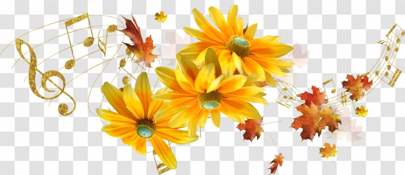 Cut Flowers Petal Floral Design Floristry - Flower - Autumn Transparent PNG