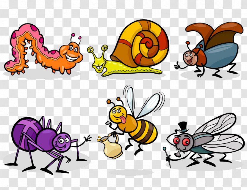 Insect Cartoon Illustration - Insects Collection Transparent PNG