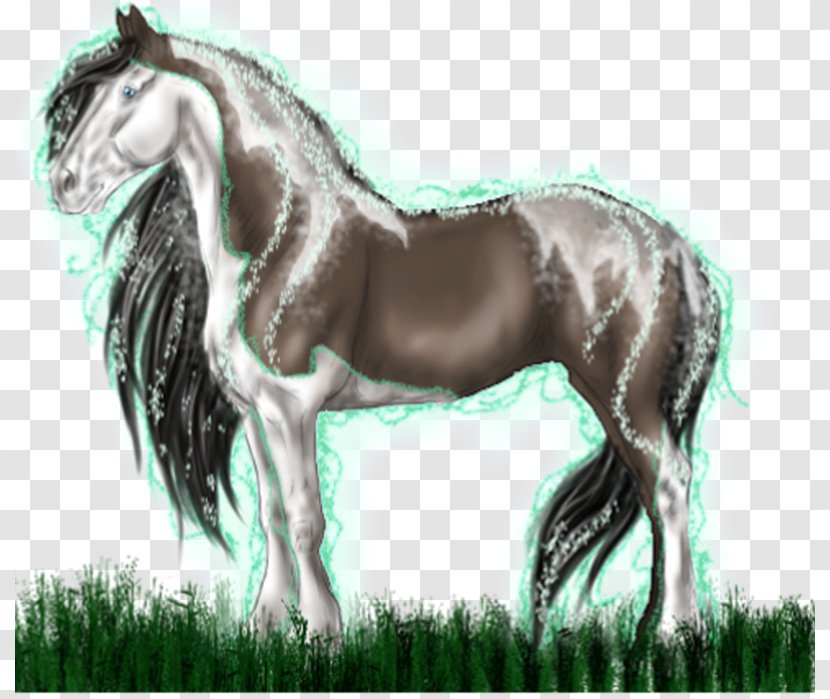 Mane Mustang Stallion Foal Mare - Pony Transparent PNG