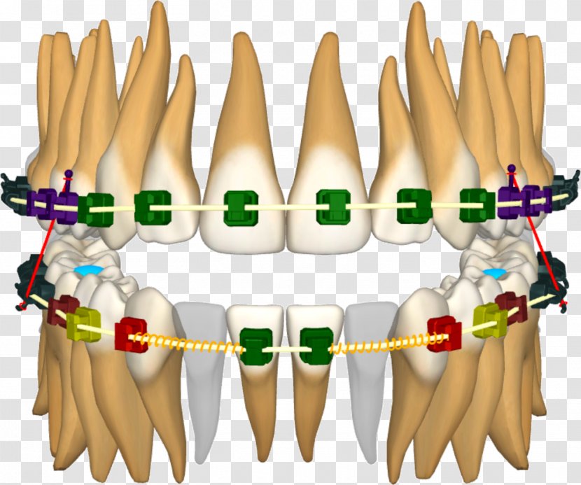 Nail Hand Model News Thumb Press Release - 3d Teeth Transparent PNG