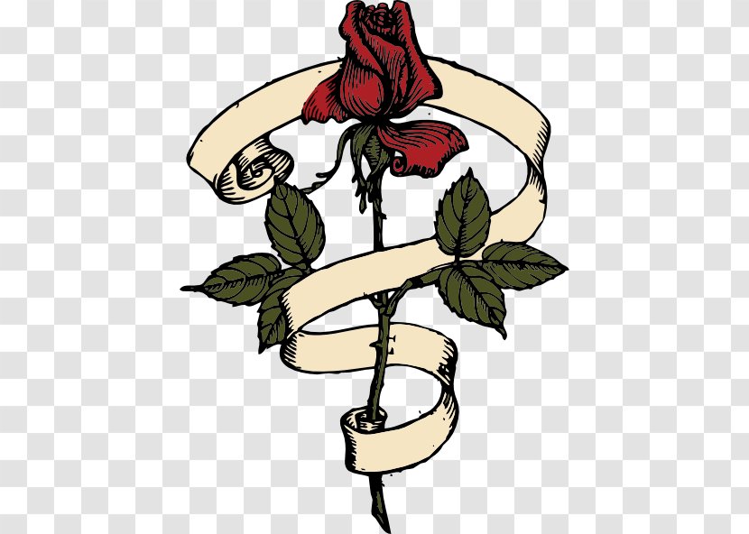 Rose Scroll Clip Art - Vine Drawings Transparent PNG