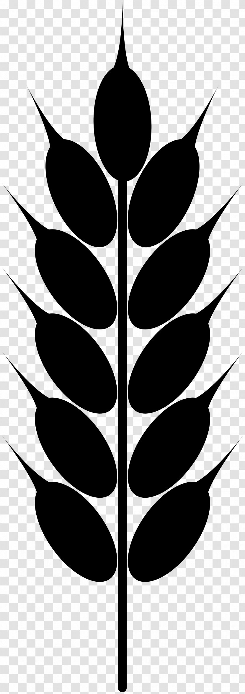 Wheat Grain Clip Art - Tree - Barley Transparent PNG