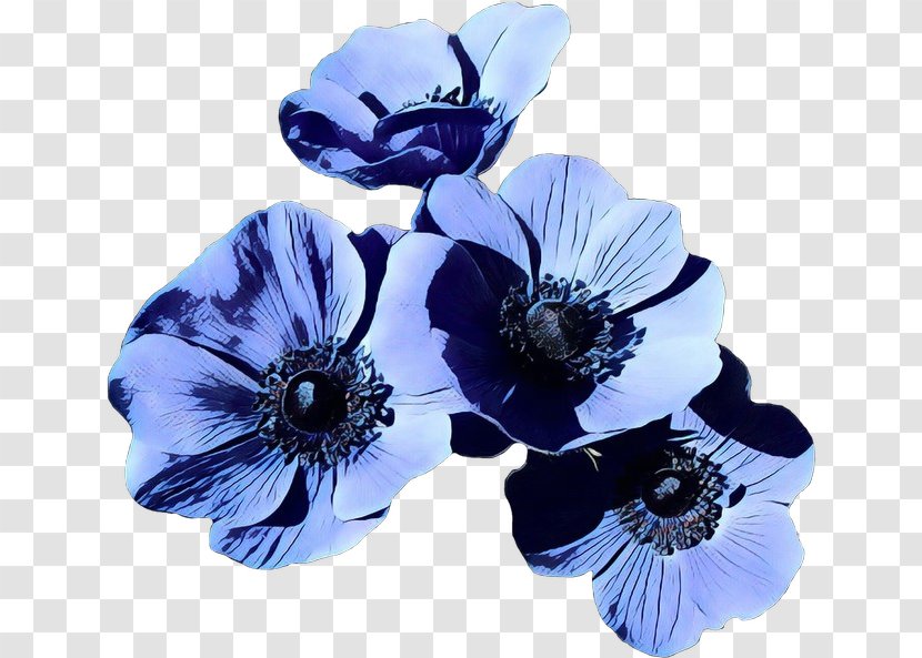 Blue Flower Petal Cobalt Plant - Hair Accessory Oriental Poppy Transparent PNG