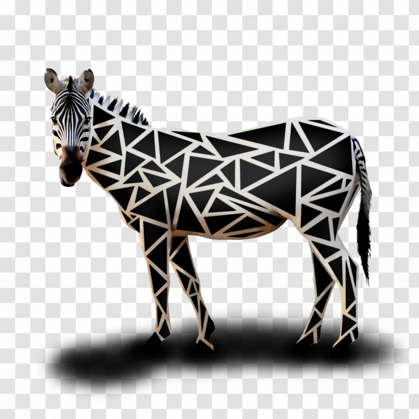 Donkey Quagga Pack Animal Wildlife Snout - Sadio Man%c3%a9 - Triangle Cover Transparent PNG