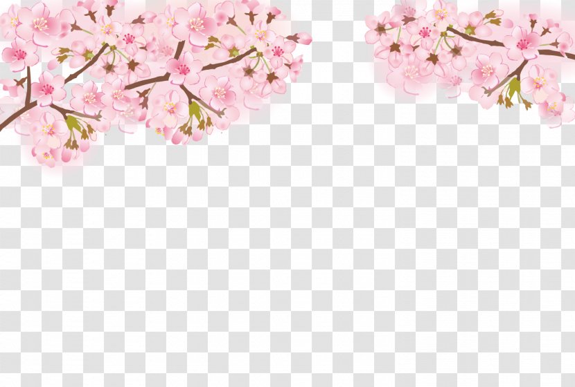 Cherry Blossom Frame. - Petal Transparent PNG