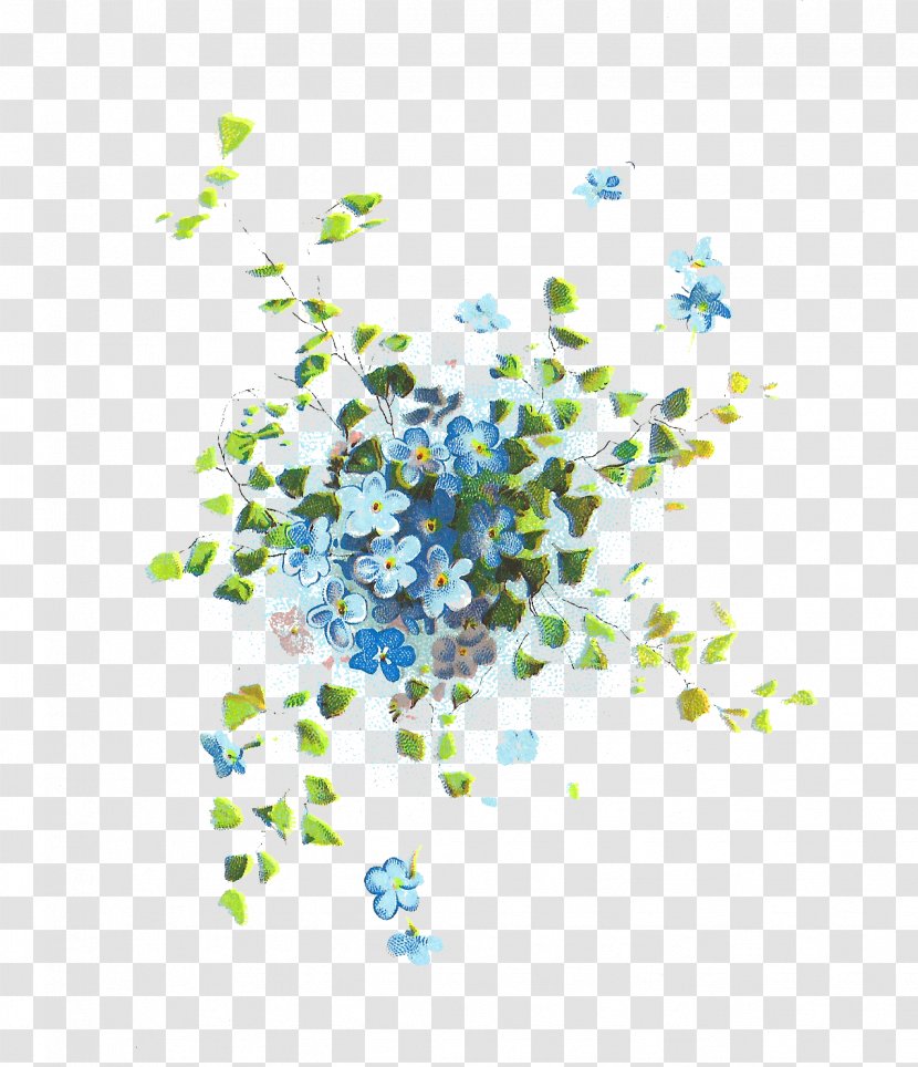 Scorpion Grasses Flower Clip Art - Blue Floral Transparent PNG