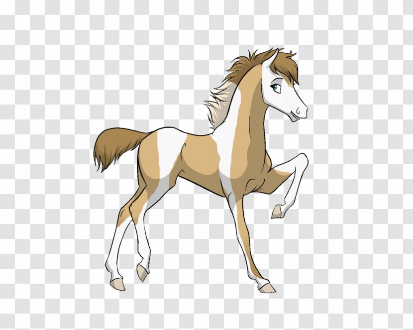 Mane Mustang Foal Colt Stallion - Organism - Desert Dream Transparent PNG