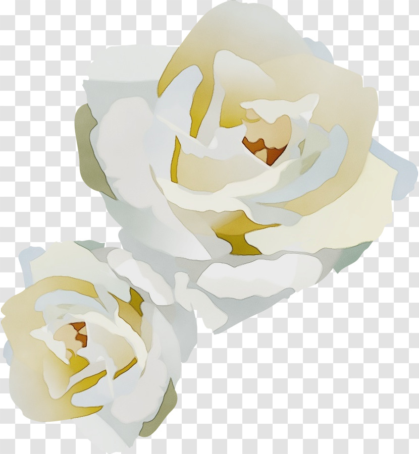 Garden Roses Transparent PNG