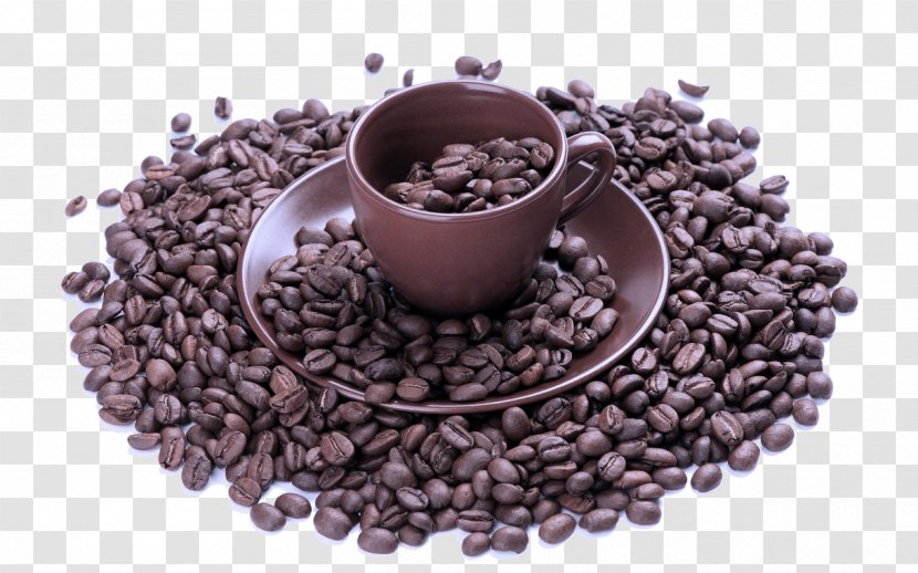 Coffee Cup - Bean - Singleorigin Transparent PNG
