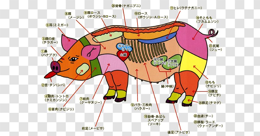 Pork Domestic Pig Soki Meat - Heart - Sliced Transparent PNG