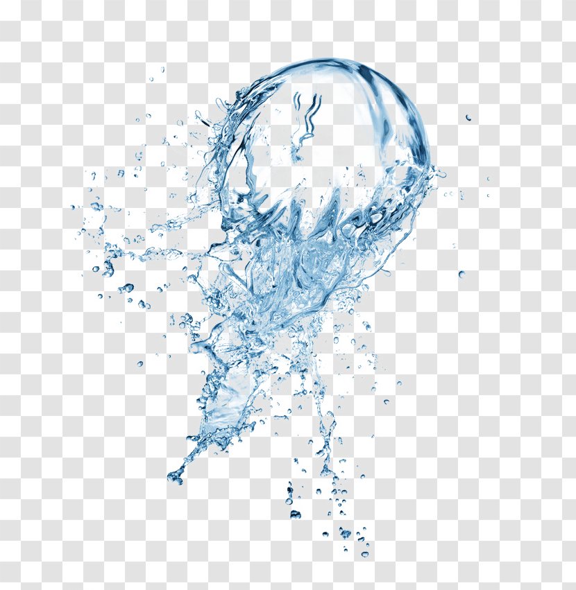Water Wallpaper - Polo Transparent PNG