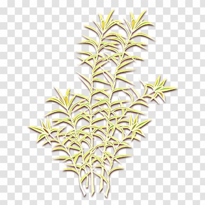 Clip Art Vascular Plant Plants Tree Leaf - Spathiphyllum Wallisii - Stem Transparent PNG