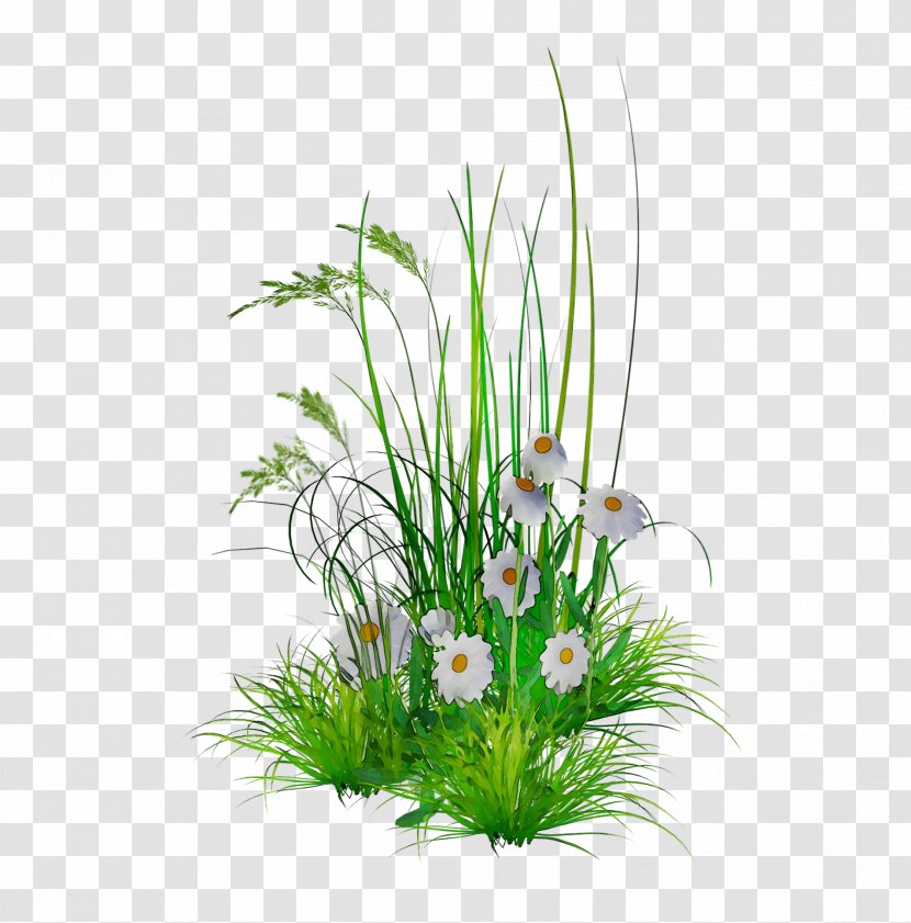 Clip Art Floral Design Image Download - Flowerpot - Houseplant Transparent PNG