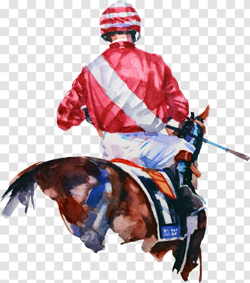 Horse Costume Design Knight Jockey International Transparent PNG