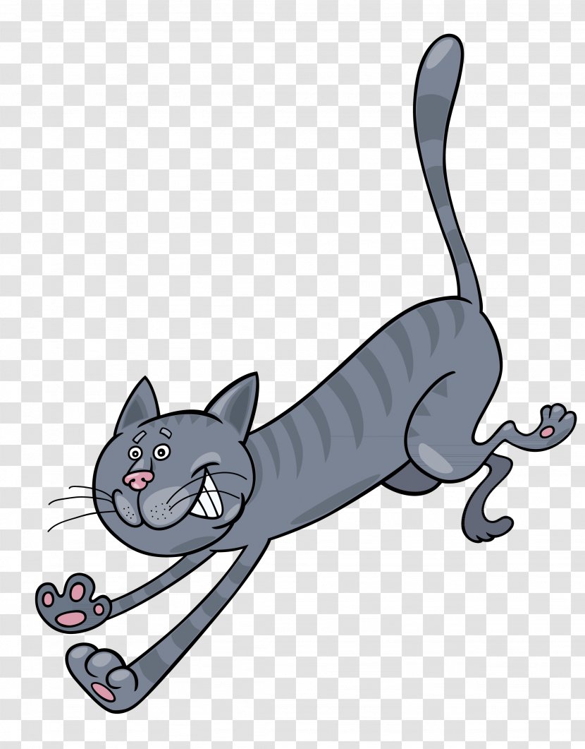 Kitten Whiskers Cat Paper Felidae - Carnivoran - Cartoon Transparent PNG