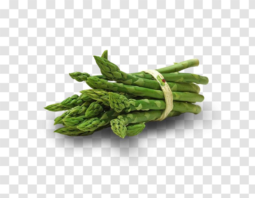 Asparagus Leaf Vegetable Vitamin E - Recipe Transparent PNG