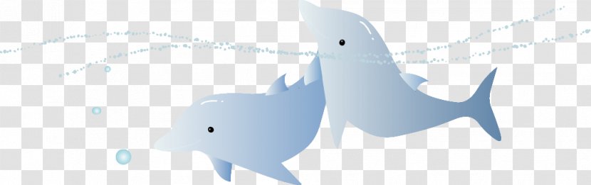 Dolphin Logo Brand - Tree - Cartoon Transparent PNG