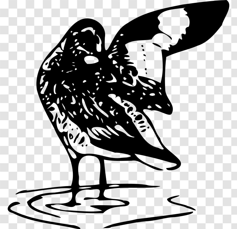 Line Art Clip - Galliformes Transparent PNG