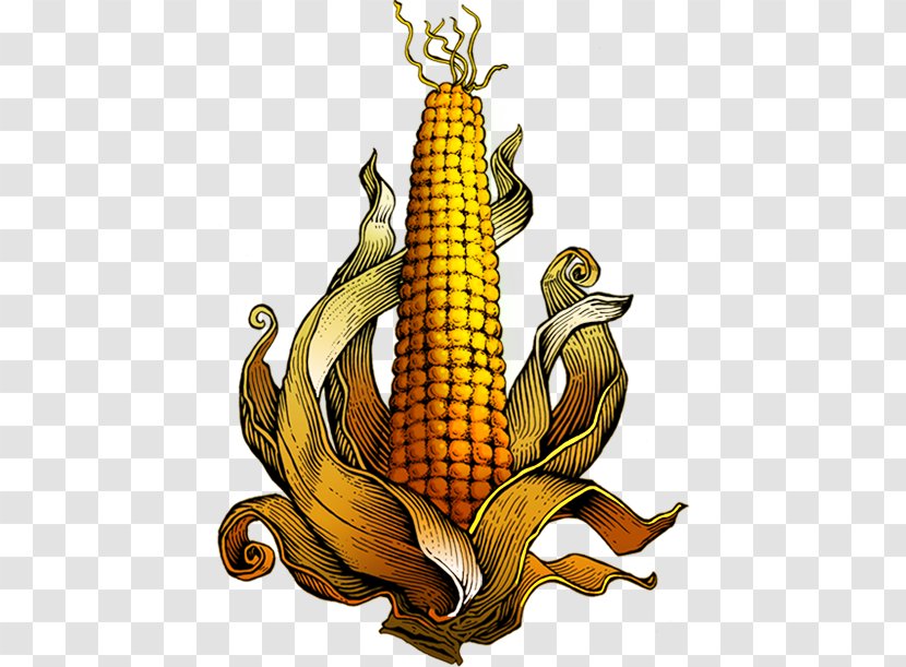 Biggi Brands (PTY) Ltd Corn Cretors .com Bacon - Com - Mushroom Farming South Africa Transparent PNG
