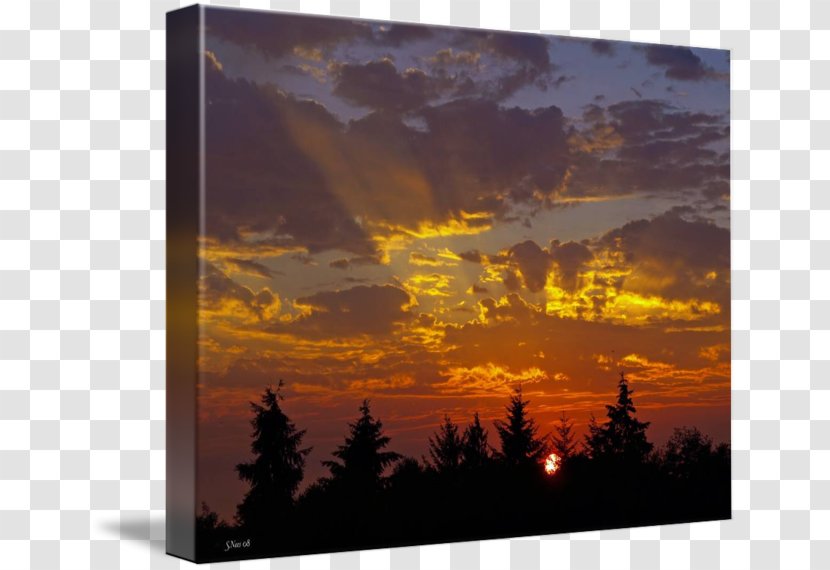 Stock Photography Sky Plc - Sunset - Light Transparent PNG