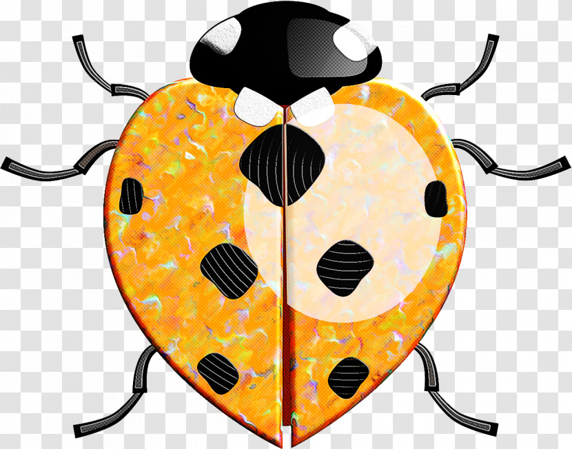 Insect Yellow Beetle Transparent PNG