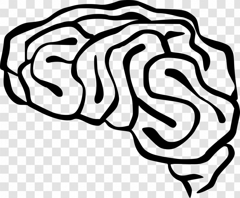 Human Brain Drawing Clip Art - Frame - Headline Transparent PNG