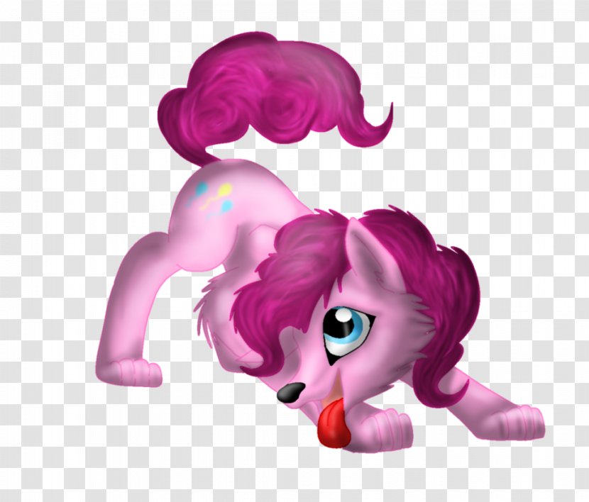 Pinkie Pie Cat Rainbow Dash Rarity Applejack - Carnivoran Transparent PNG