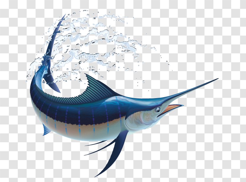 Marlin Fishing Atlantic Blue Transparent PNG