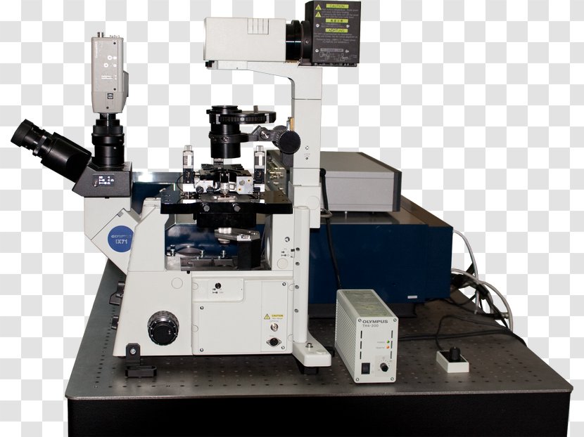 Optical Microscope Scanning Probe Microscopy Confocal Atomic Force - Fluorescence Transparent PNG