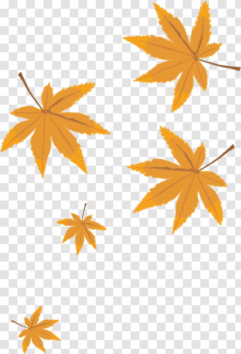 Leaf Cartoon - Autumn Leaves - Vector Material Transparent PNG