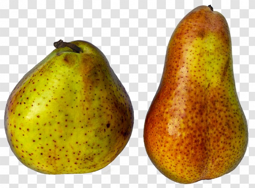 European Pear Asian Fruit Kolach Pome - Accessory Transparent PNG