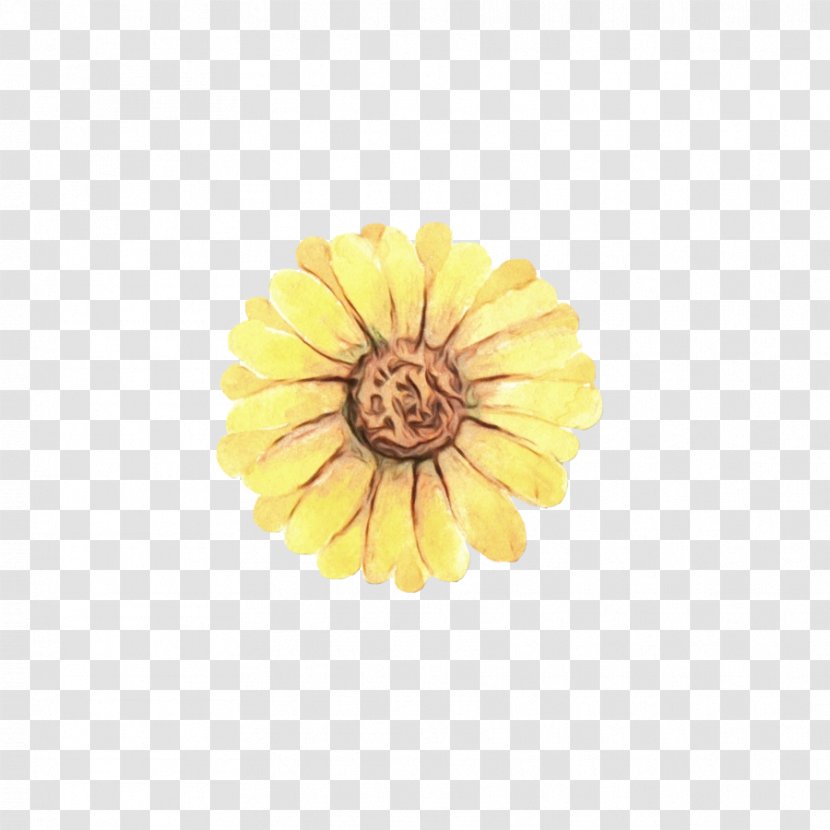 Sunflower - Wet Ink - Daisy Family Zinnia Transparent PNG