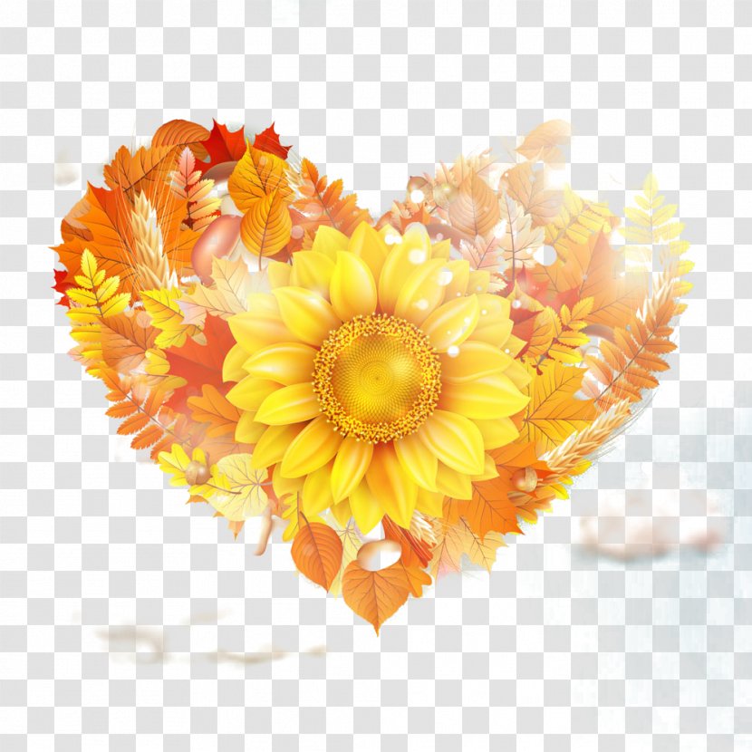 Common Sunflower Gold - Art - Golden Transparent PNG