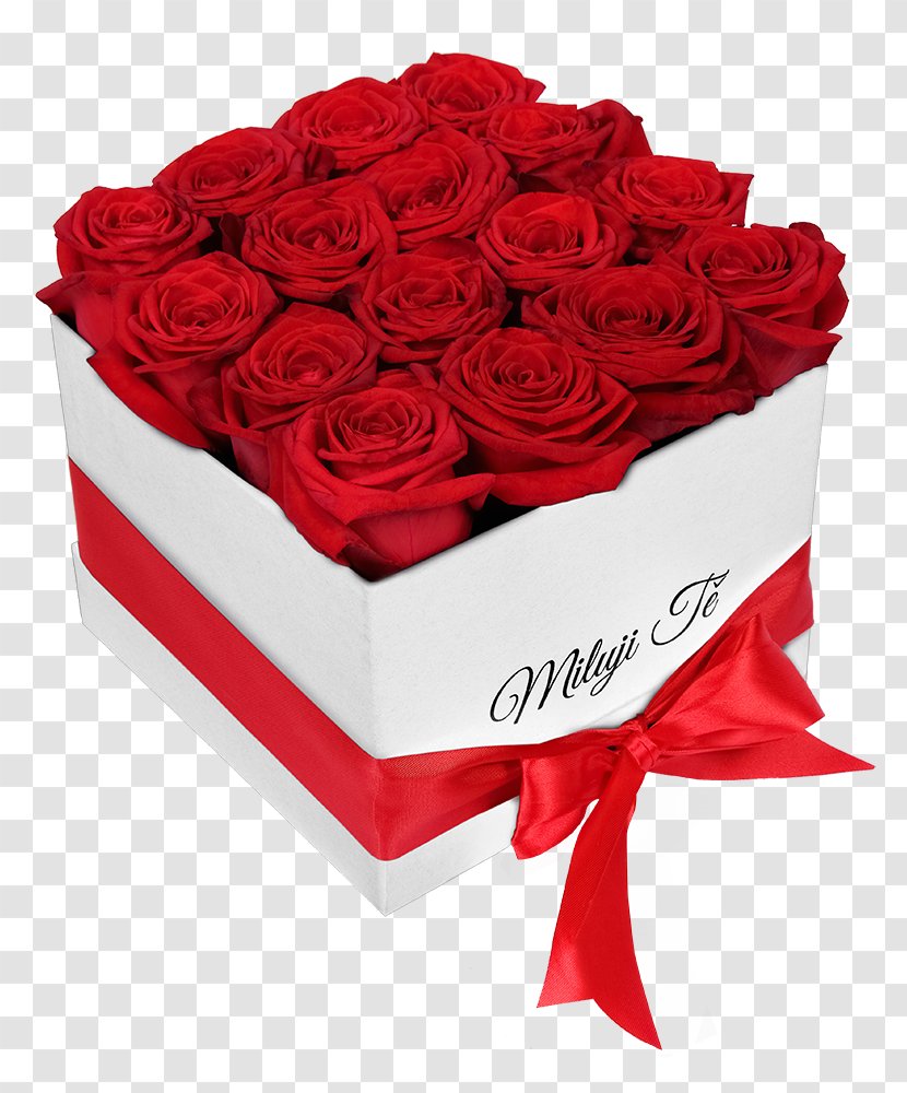 Gift Cardboard Box Rose Flower Frutiko.cz - Petal - Title Transparent PNG