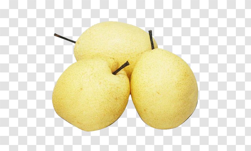 Asian Pear China Pyrus Xd7 Bretschneideri Nivalis Fruit - Yuzu Transparent PNG