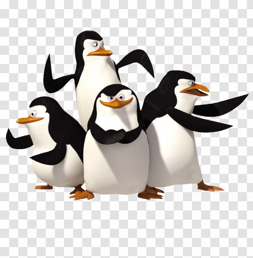 Penguin Antarctica Madagascar DreamWorks Animation - Blog Transparent PNG